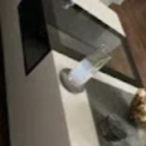 Meet your Posher, Leo